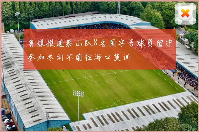鲁媒报道泰山队8名国字号球员留守参加冬训不前往海口集训